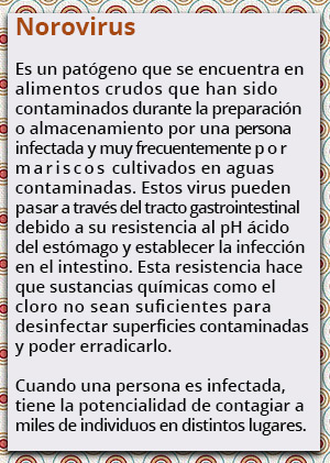 norovirus rec1 1020 