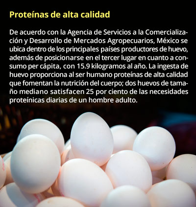 proteinas0716