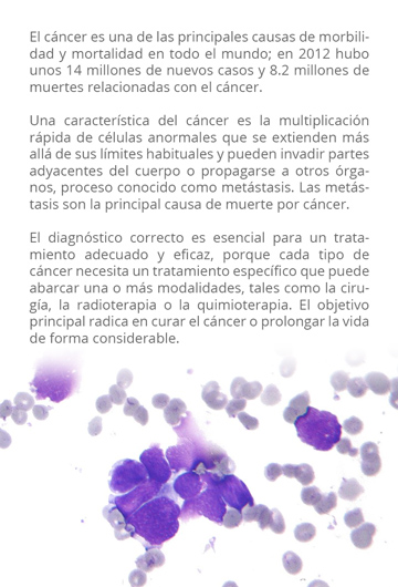 recuadro cancer oms lizbeth barojas