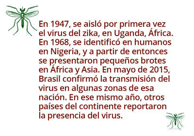 zika0616