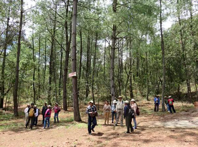 CIESAS y UNAM promueven el Geoparque Mixteca Alta2216