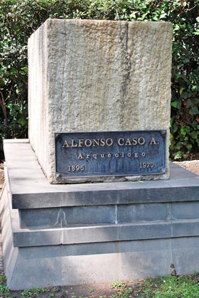 calle alfonso caso