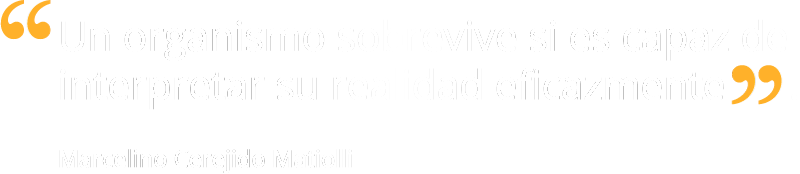 frase marcelino cerejido matiolli02