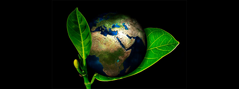 ecología-head-5317.jpg