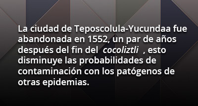 epidemia-rec11-17118.jpg