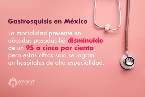 mortalidad gastrosquisis mexico02