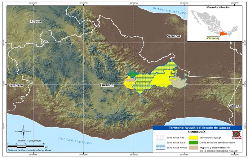 nacion ayuujk mapa