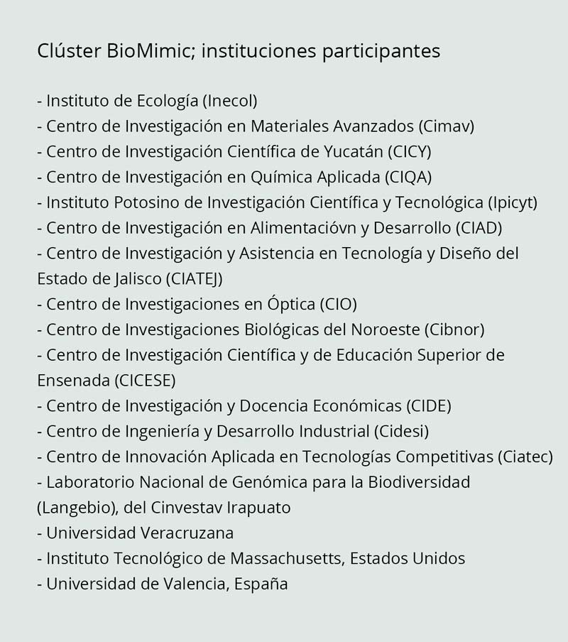 Cluster BioMimic2