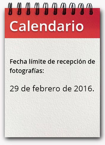 calendario 29 feb 2016