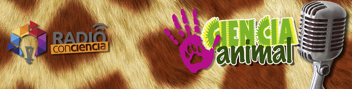 BannerAnimal