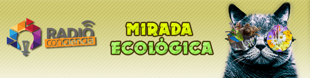 Banner Mirada Ecologica187