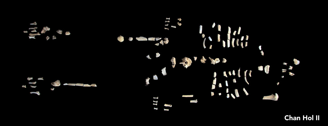 Fragmentos recuperados de Chan Hol II