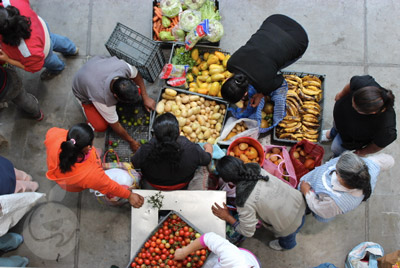 bancos alimentos01