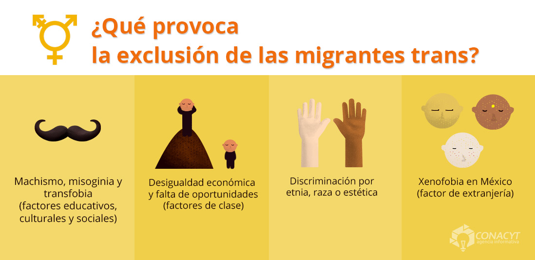 infografia discriminacion trans