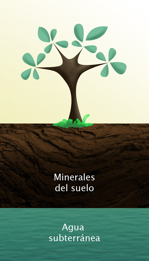 minerales arsenico suelo zimapan