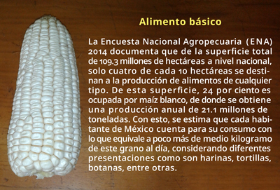 alimento2816 1