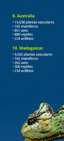 recuado biodiversidad mundo03b