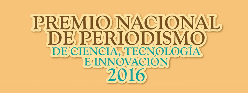 HEAD premio1516