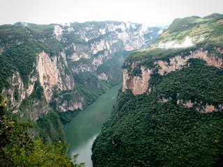 biodiversidad chiapas naranjo pinera