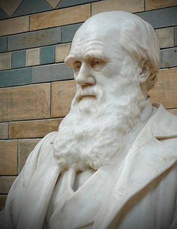 darwin estatua