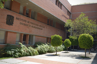 instituto fisiologia celular