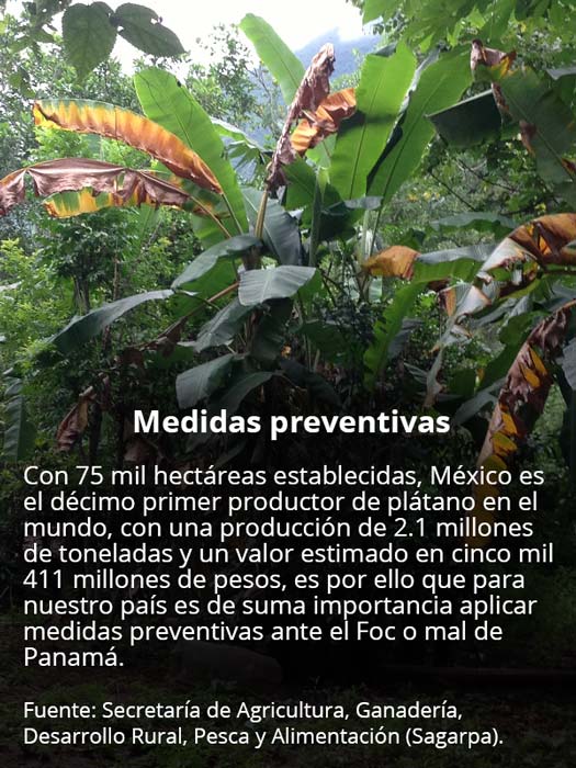 medidas preventivas 16 02