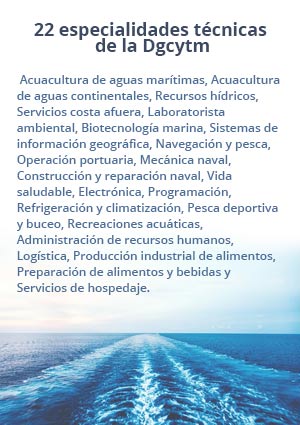 oceano recuadronv 428