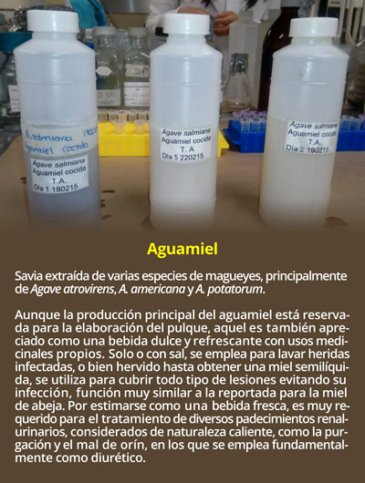 1 Aguamiel3006