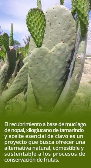 nopal0916