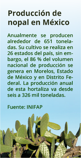 recuadro produccion nopal mexico