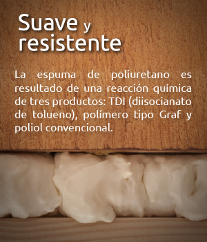poliuretano-recuadro-01