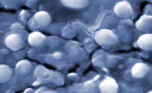 nanoesferas fertilizantes01