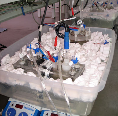 Tratamiento de aguas residuales con microalgas f 4