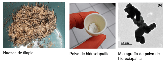 huesos_de_tilapia.png