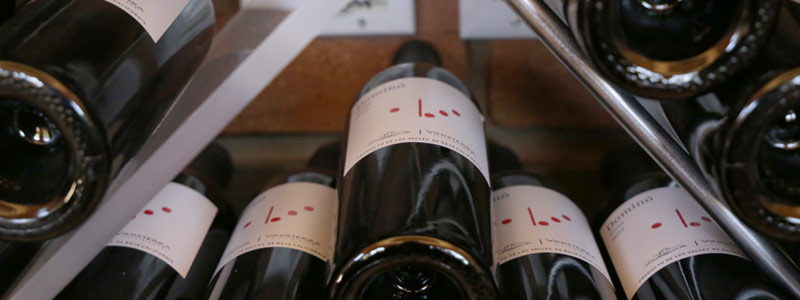 1-HEAD_vinicolas0418.jpg