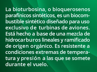 1-bioturbosina0218.jpg