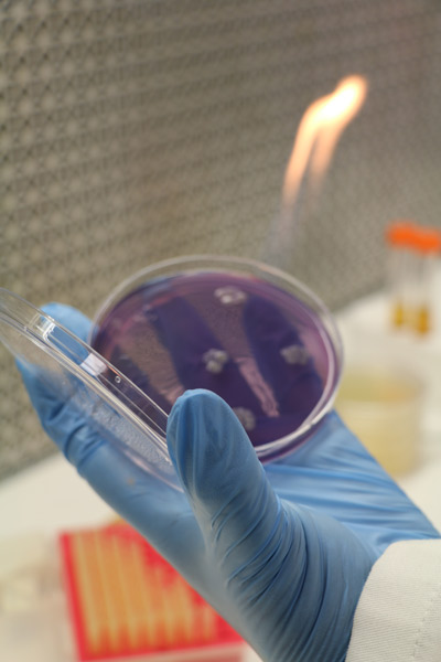 Biotecnología-médica-y-farmacéutica-2.jpg