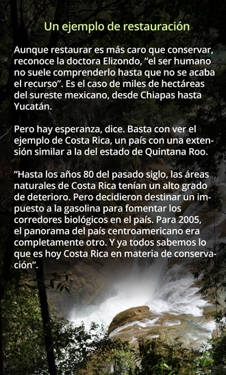 Cascadas-LasNubes330.png