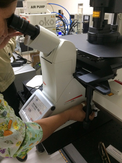 Microscopio-confocal-barrido-laser-1.jpg