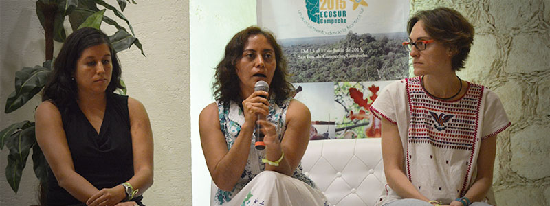 grupo ecologia ecosur artropodos banner