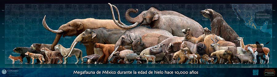 megafauna mexico
