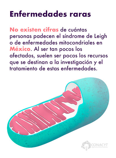 enfermedades mitocondriales mexico02