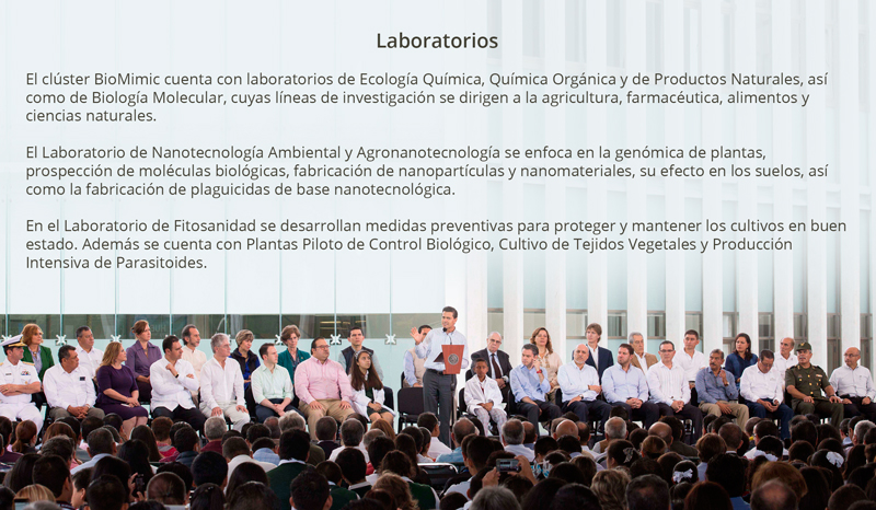 Cluster BioMimic la vanguardia