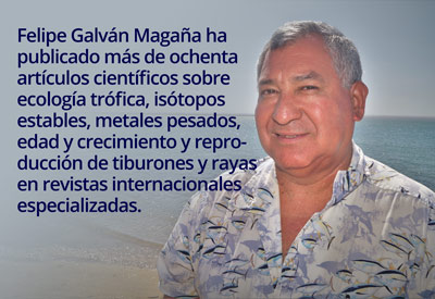 Felipe Galvan Magana2416