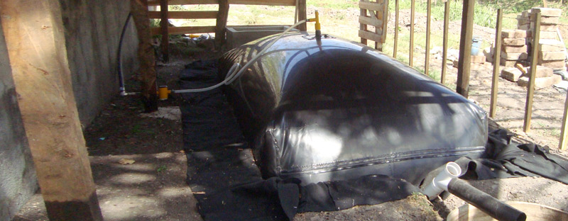 800x300 biogas Biol 1604